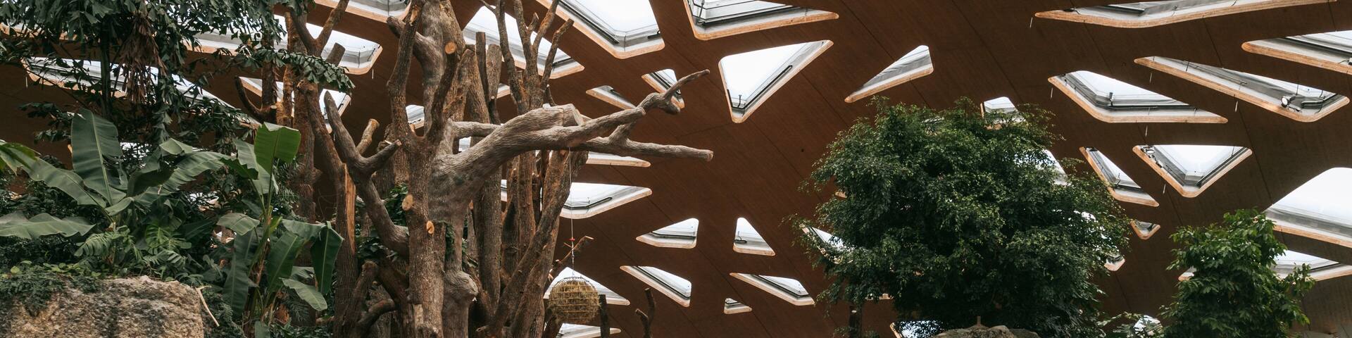 Zoo Zurich showing zoo animals and land animals