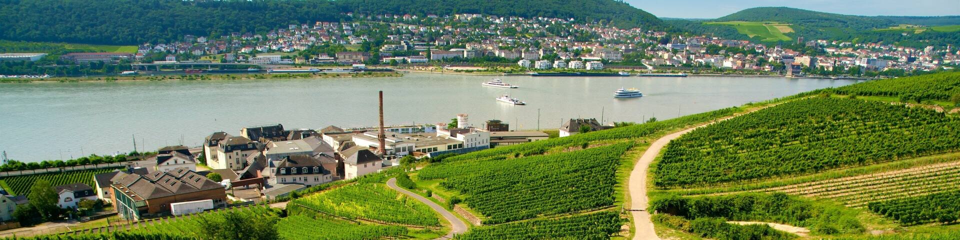 Ruedesheim am Rhein