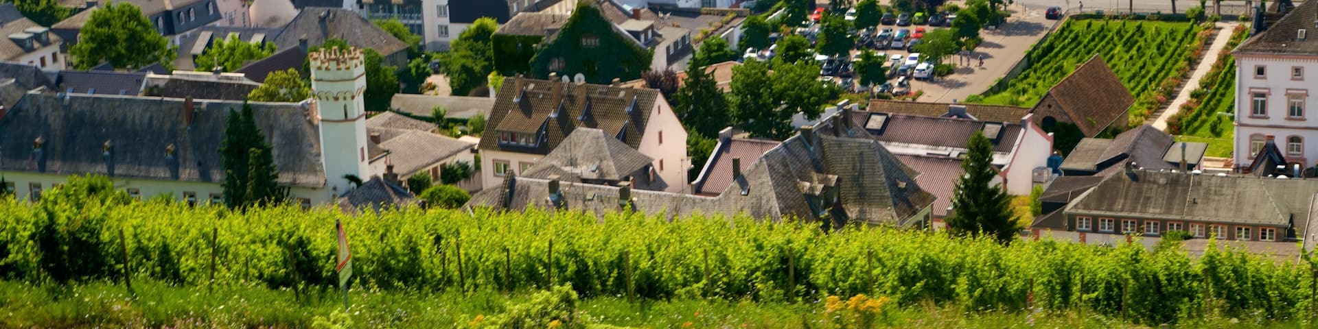 RĂŒdesheim am Rhein