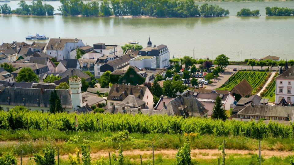 A riverside town with historic buildings, a tower, and vineyards.