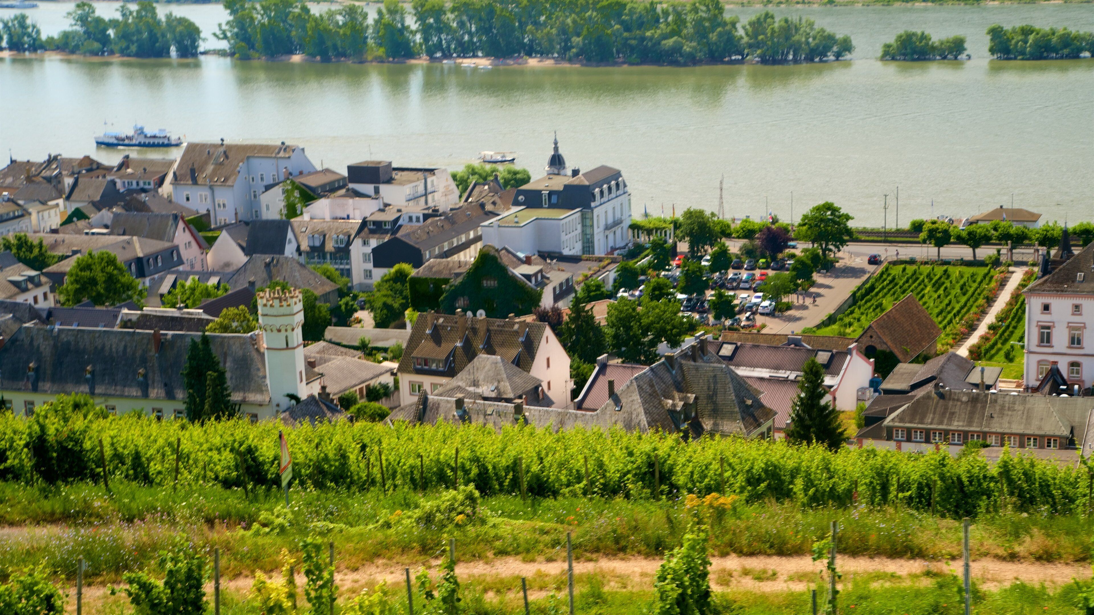 A riverside town with historic buildings, a tower, and vineyards.