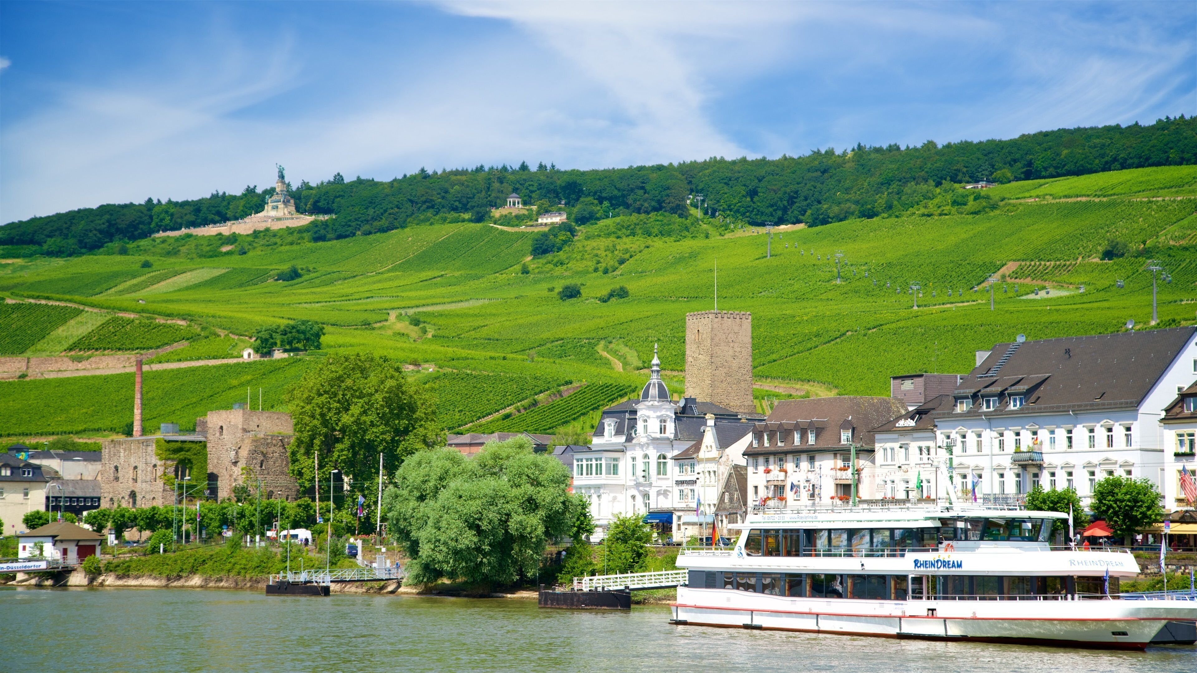 A river with a boat, a castle, and vineyards.