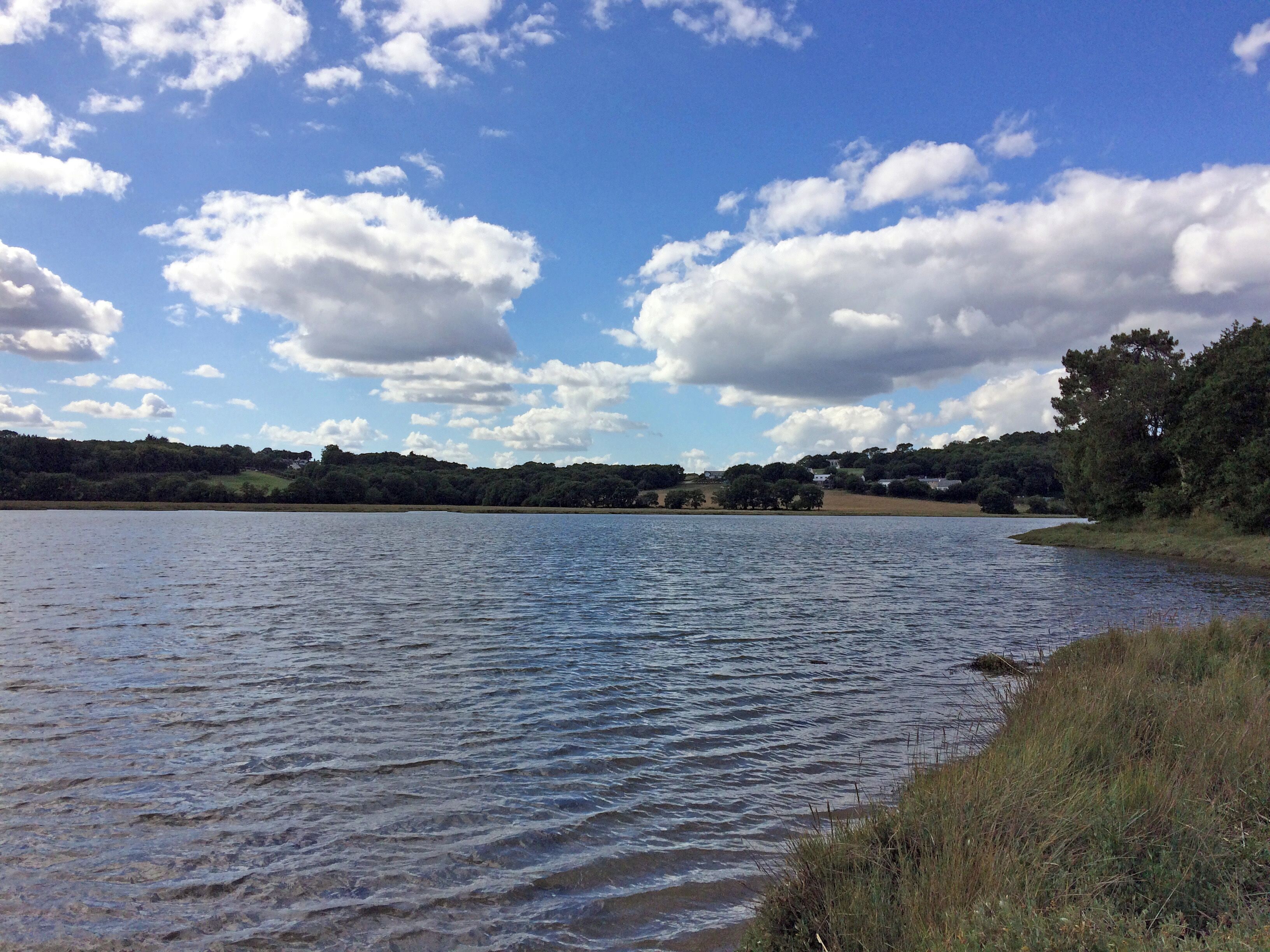 L'estuaire du Scorff, vers l'amont. Vue prise près du pont brulé sur la rive de Caudan.