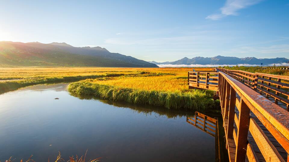 A wooden boardwalk in Potter Marsh Bird Sanctuary, Alaska.