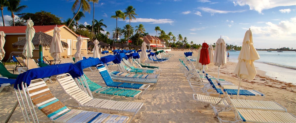 A beach with rows of sun loungers and umbrellas, palm trees, and a clear sky.