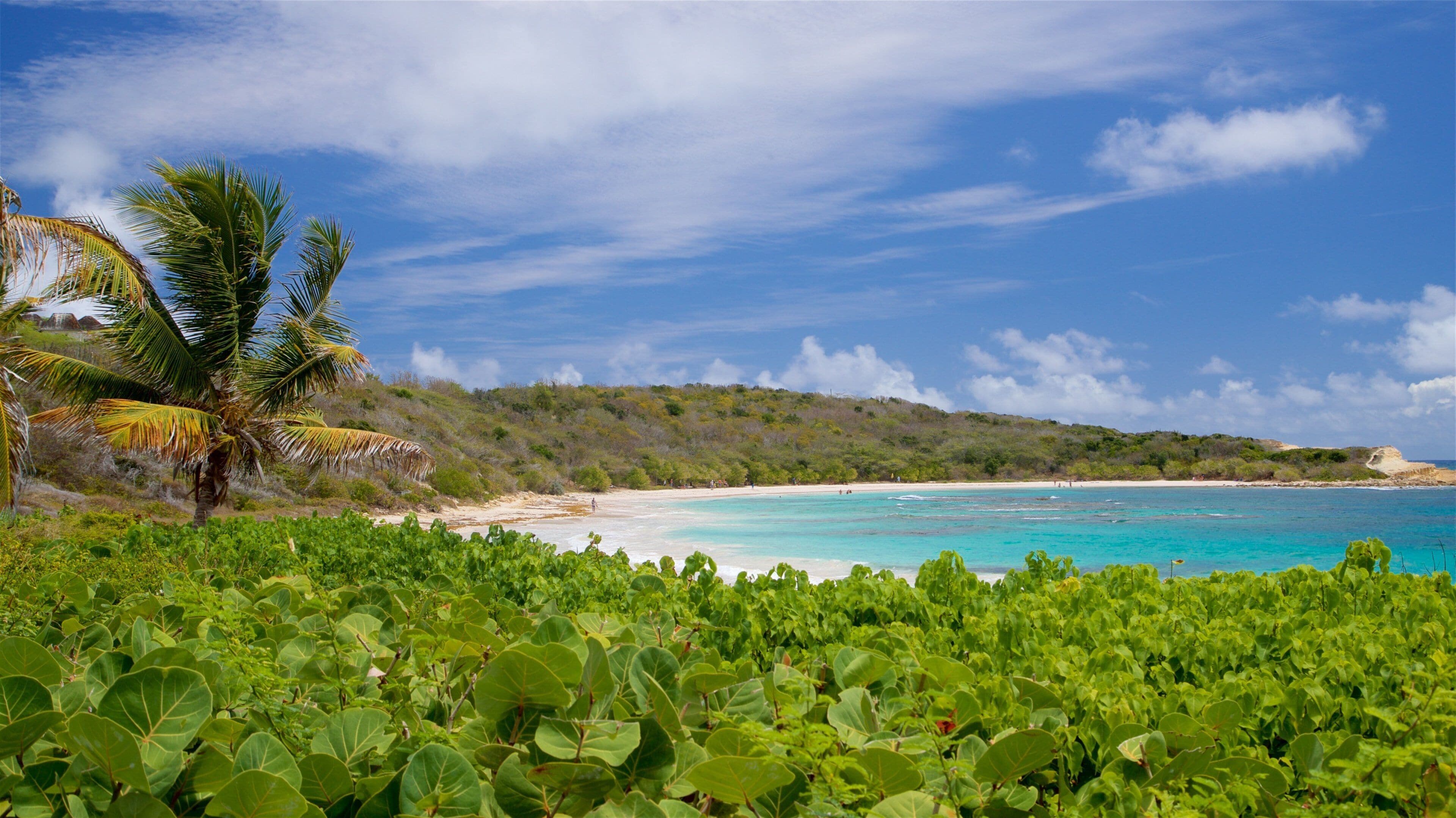 Half Moon Bay Beach featuring general coastal views, a beach and tropical scenes