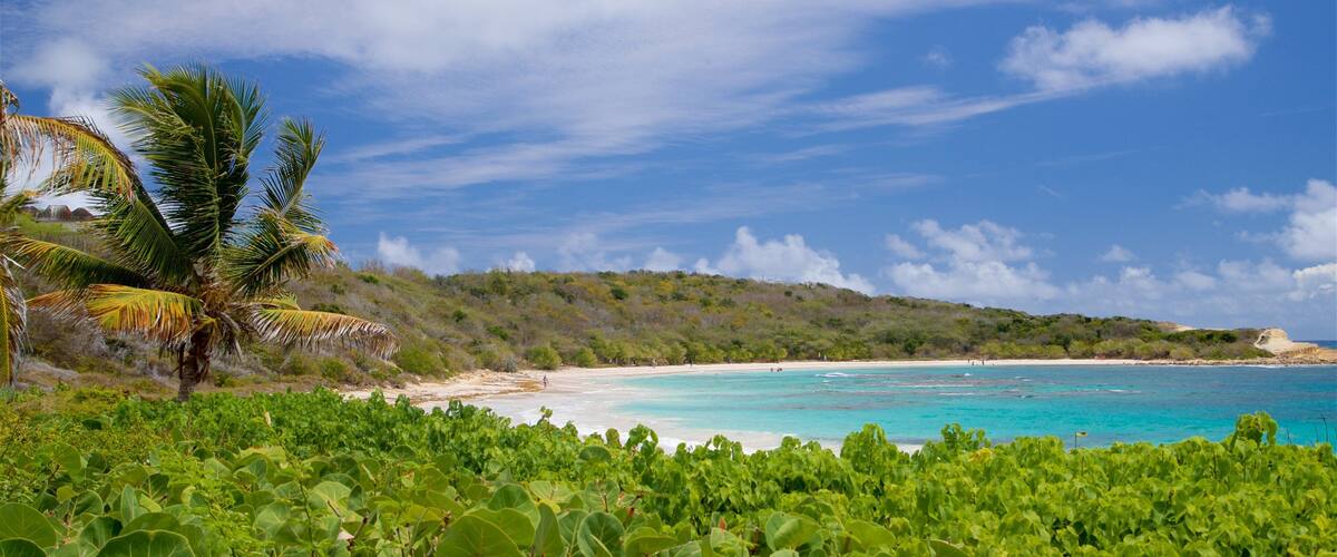 Half Moon Bay Beach featuring general coastal views, a beach and tropical scenes
