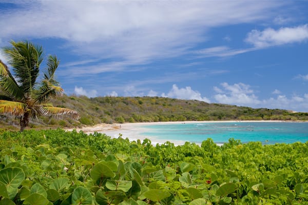 Half Moon Bay Beach featuring general coastal views, a beach and tropical scenes