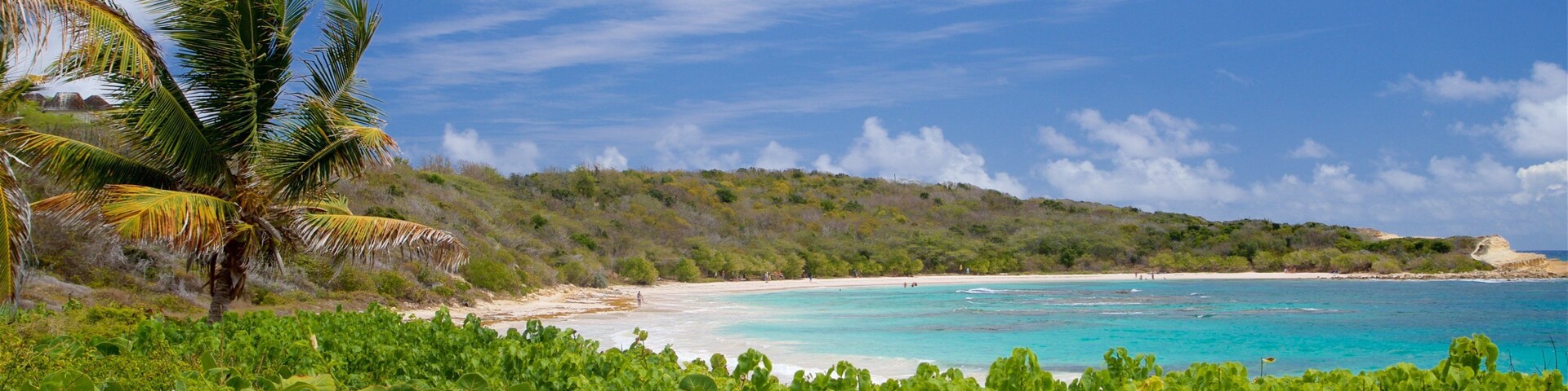 Half Moon Bay Beach featuring general coastal views, a beach and tropical scenes