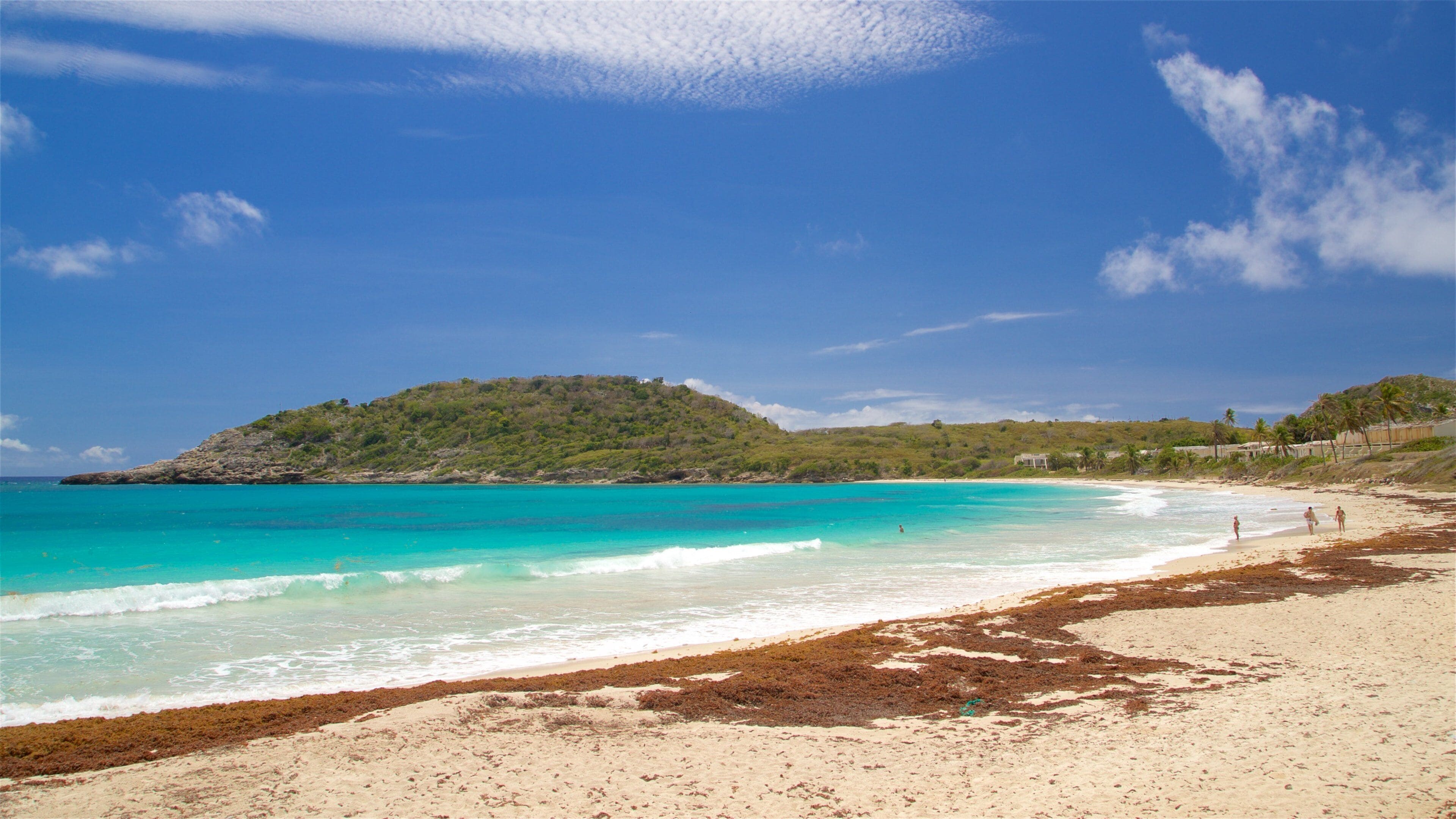Half Moon Bay Beach which includes a beach and general coastal views