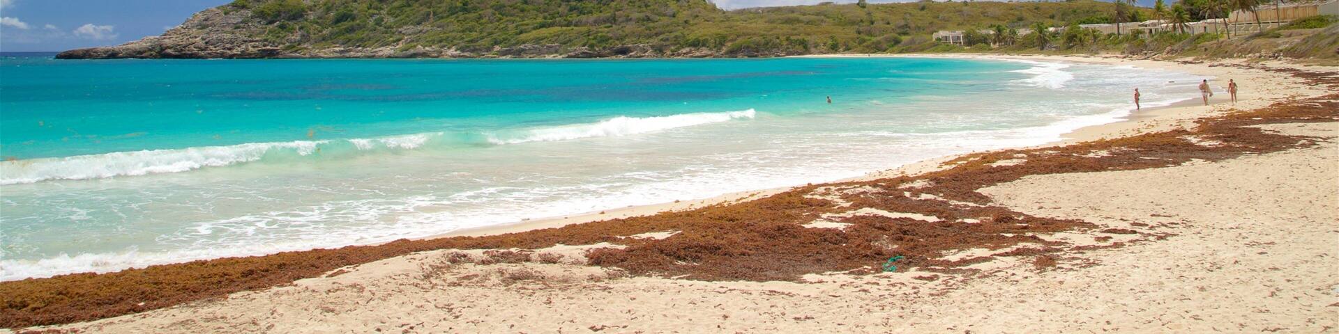 Half Moon Bay Beach which includes a sandy beach and general coastal views