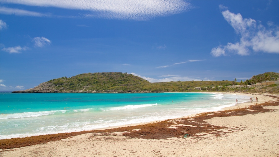 A beach with clear turquoise waters, sandy shore, and a hill with vegetation.