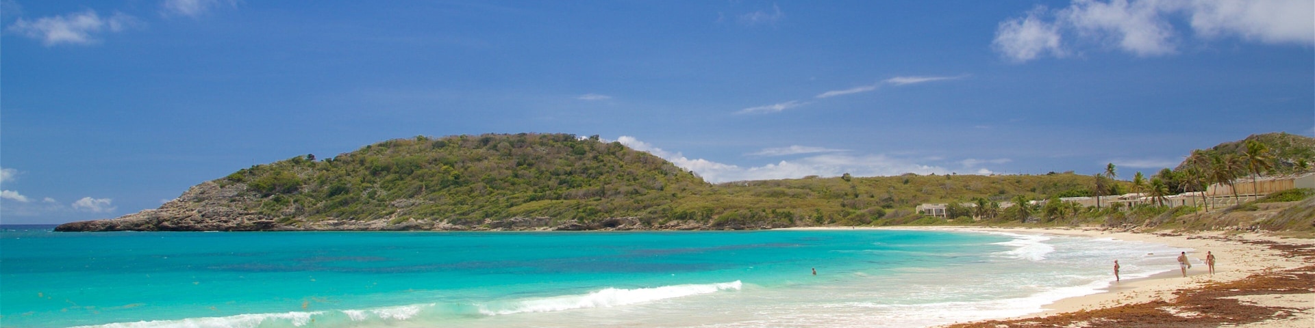 Una playa con aguas turquesas cristalinas, orilla de arena y una colina con vegetación.