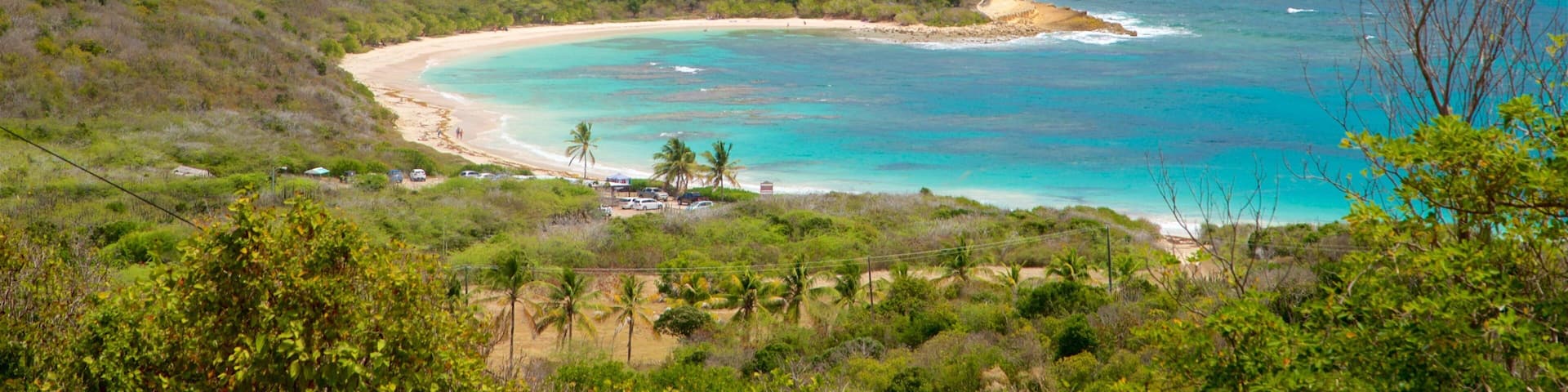 Half Moon Bay Beach mettant en vedette vues littorales, panoramas et plage