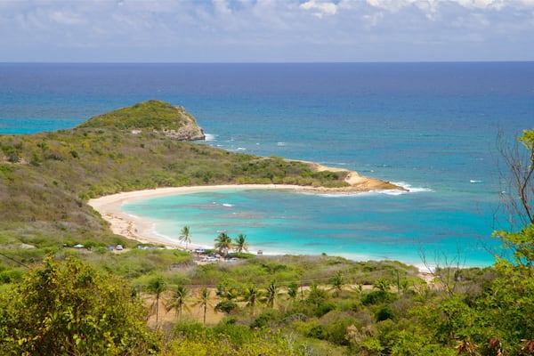 Half Moon Bay Beach mettant en vedette vues littorales, panoramas et plage