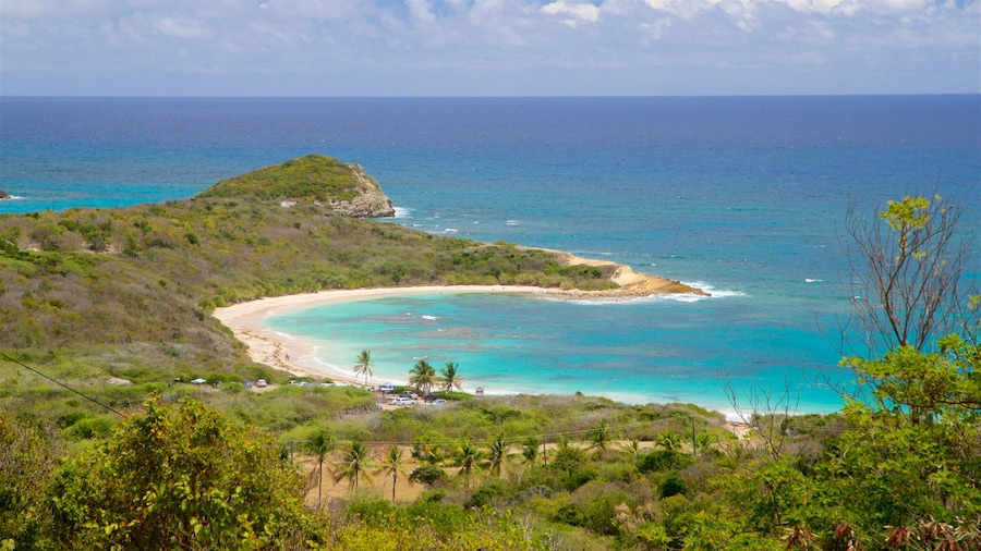 Half Moon Bay Beach showing landscape views, a sandy beach and general coastal views
