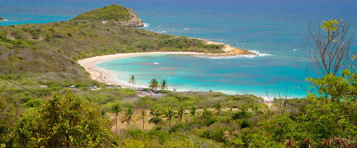 A coastal landscape with a curved bay, clear turquoise waters, and lush greenery.