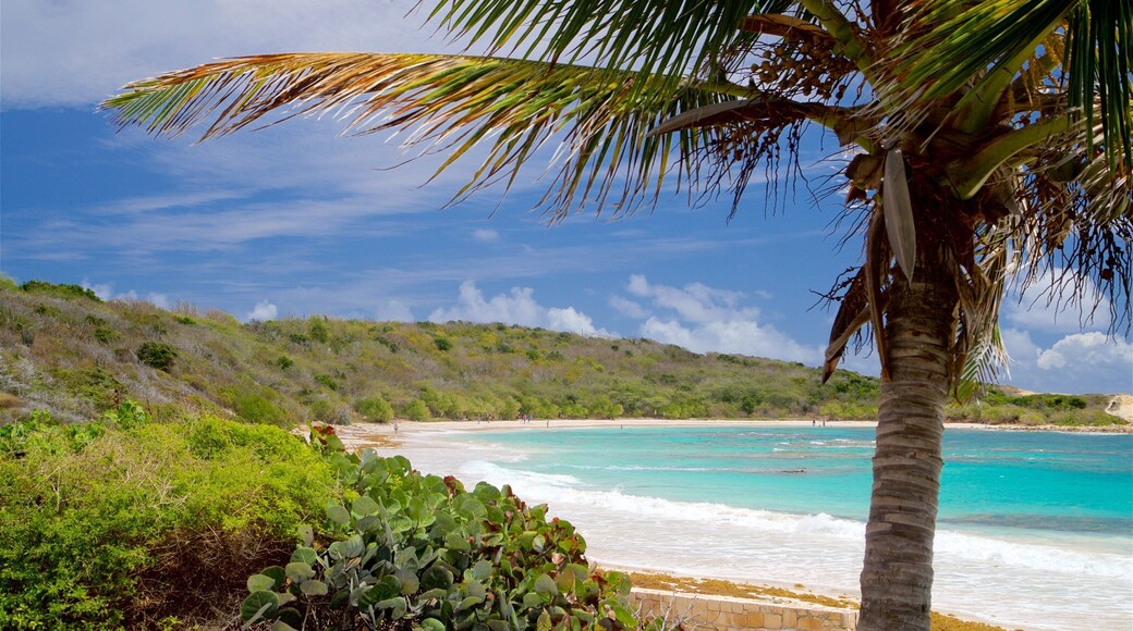 Half Moon Bay Beach showing a sandy beach and general coastal views