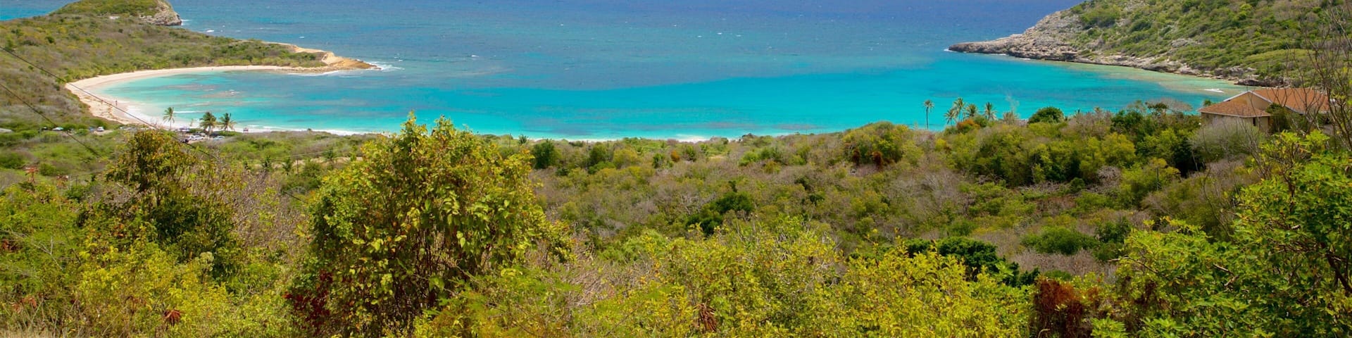 A coastal landscape with turquoise waters, a sandy beach, and lush greenery.