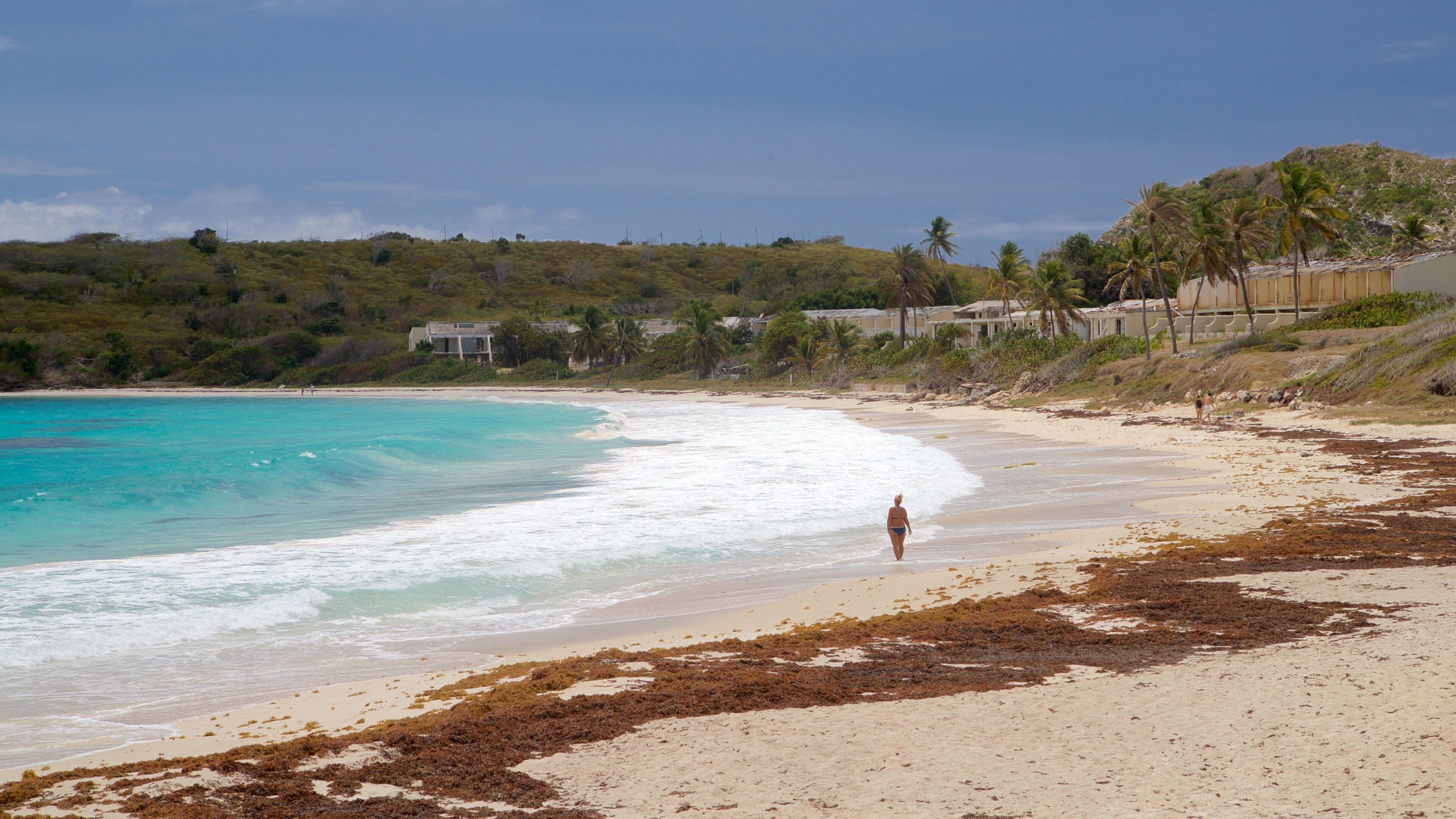 Half Moon Bay Beach showing general coastal views and a beach