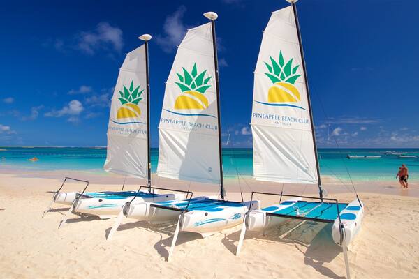 Antigua showing general coastal views, signage and a beach