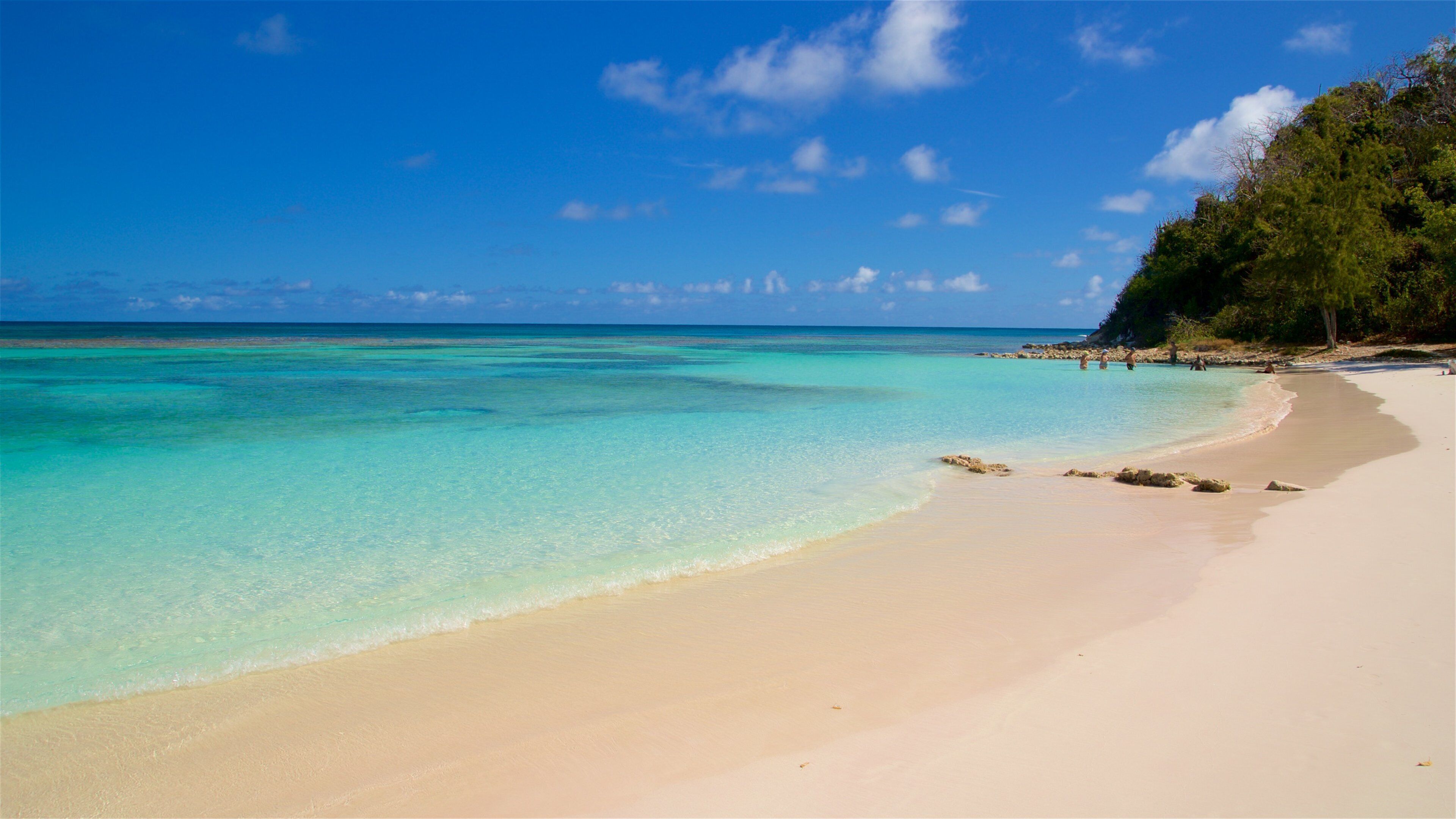 Long Bay featuring general coastal views, a beach and tropical scenes