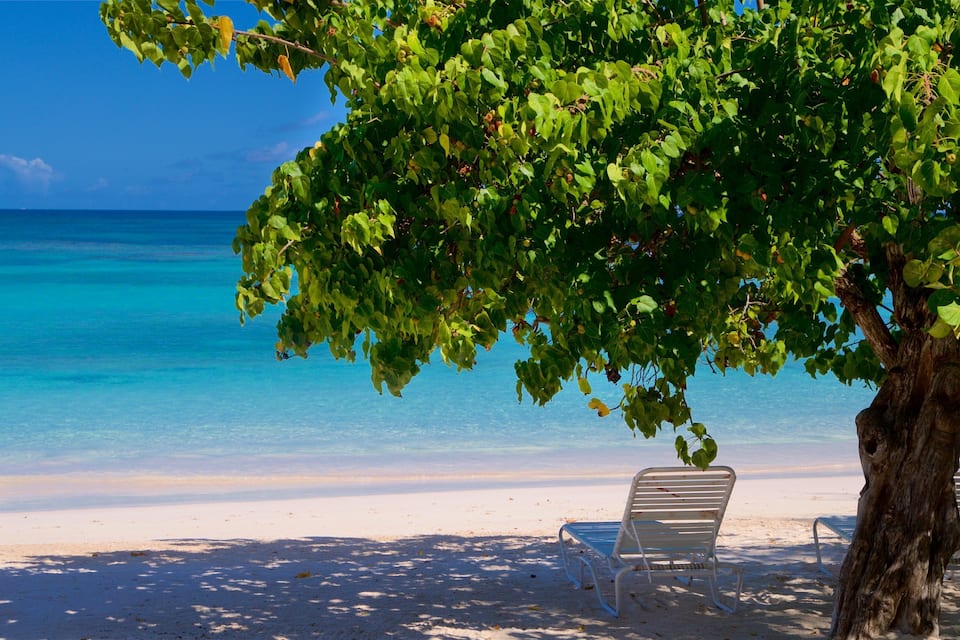 A beach with clear turquoise water, white sand, and two white beach chairs under a tree.