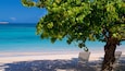 Une plage avec une eau turquoise et limpide, du sable blanc et deux chaises de plage blanches placées sous un arbre.