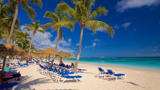 Long Bay which includes a sandy beach, general coastal views and tropical scenes