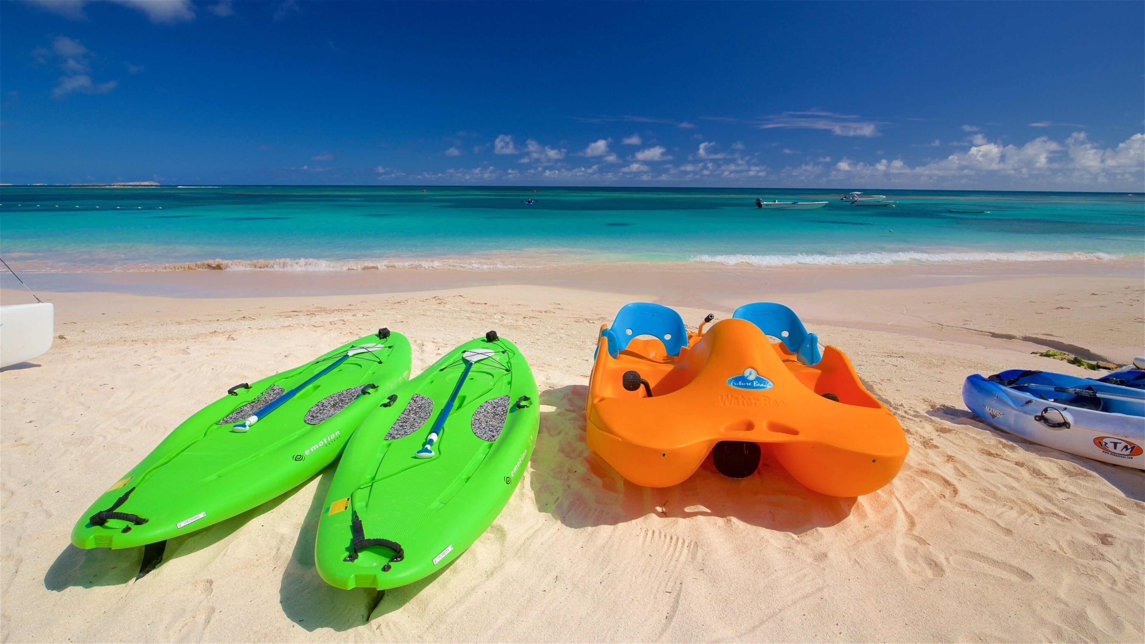 Una playa con dos kayaks verdes y un kayak naranja.