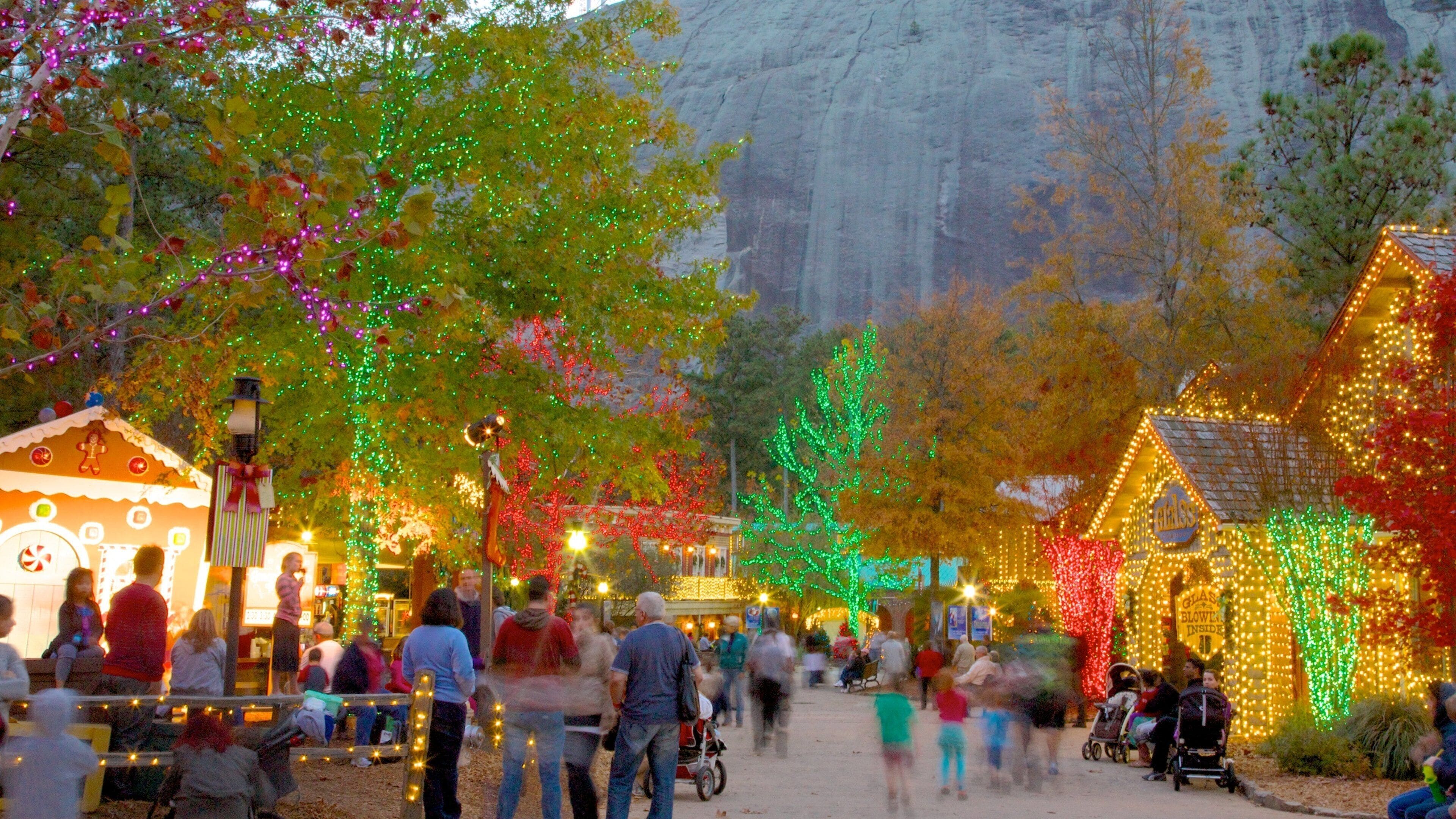 Stone Mountain Park showing a festival and a park as well as a large group of people