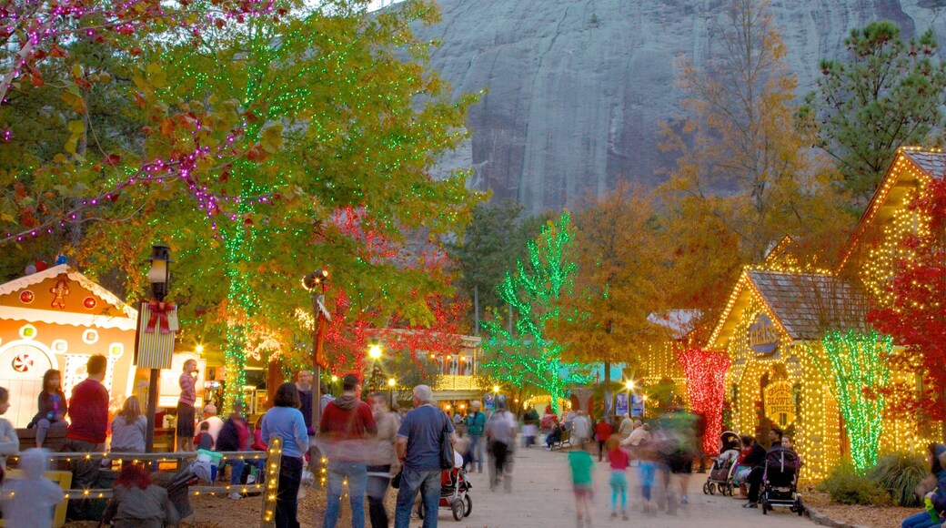 Stone Mountain Park showing a festival and a park as well as a large group of people