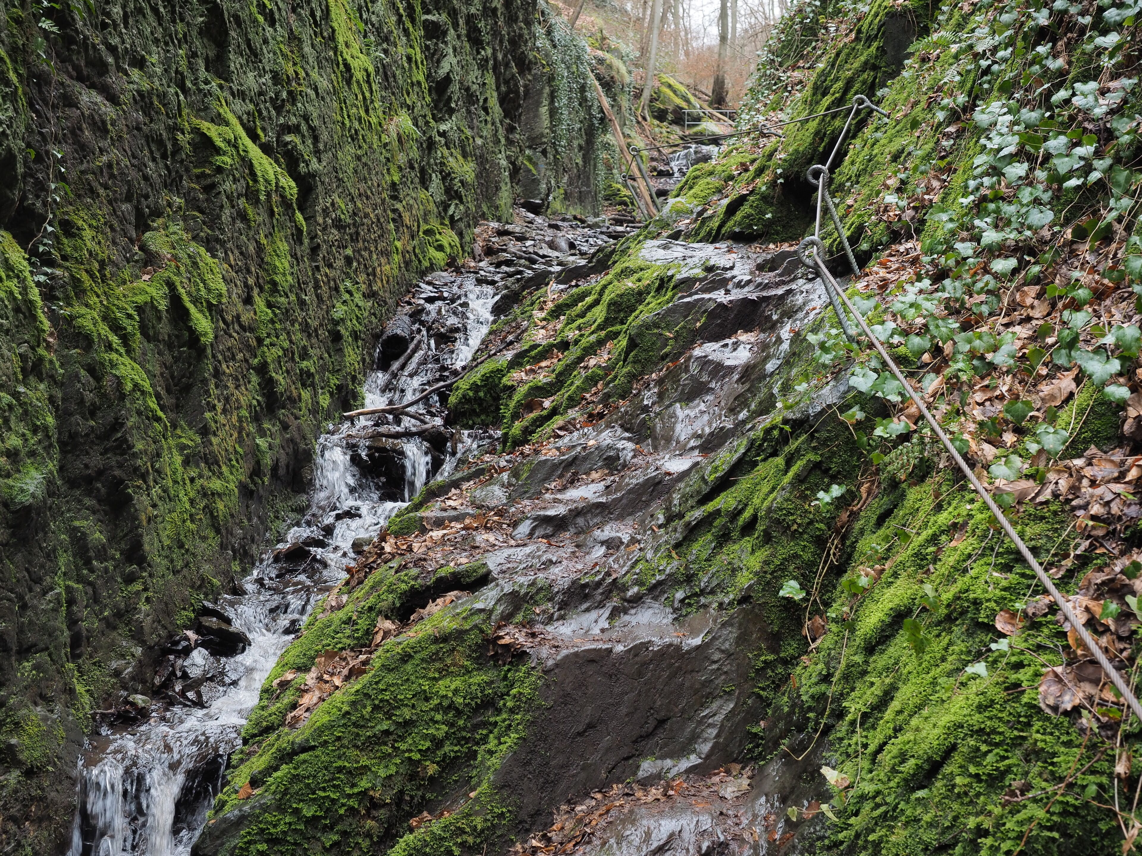 Felsenweg in der Ruppertsklamm