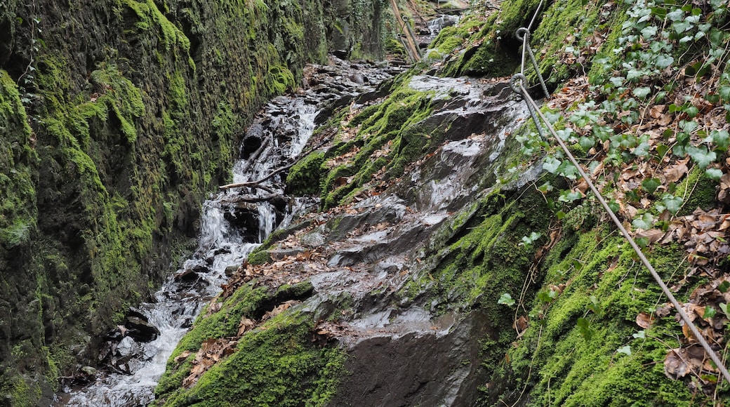 Felsenweg in der Ruppertsklamm