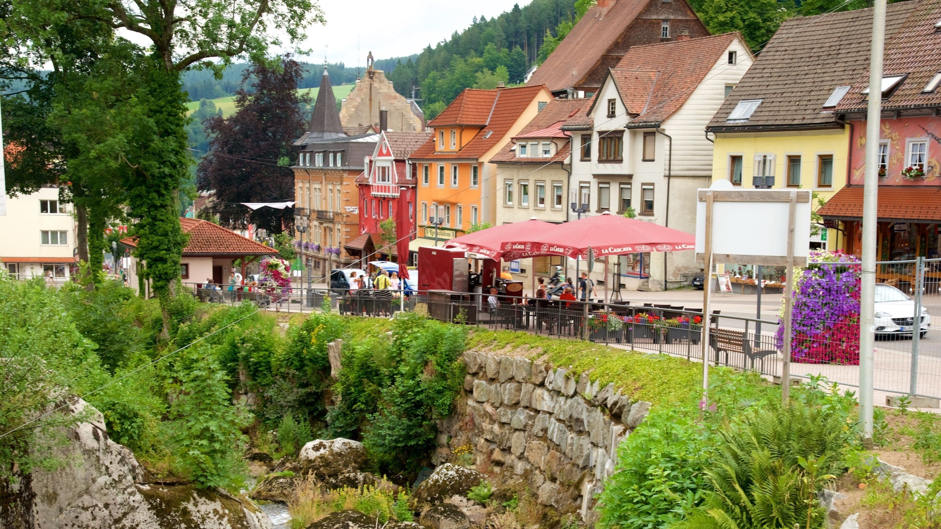 Triberg im Schwarzwald featuring street scenes