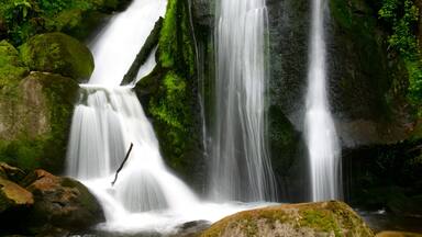 Une cascade d’eau se déversant sur des rochers couverts de mousse, dans une zone boisée.