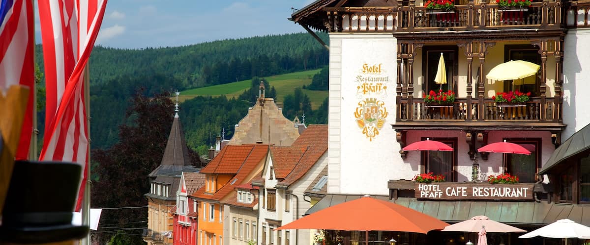Triberg im Schwarzwald que incluye escenas tranquilas, una pequeña ciudad o pueblo y escenas de café