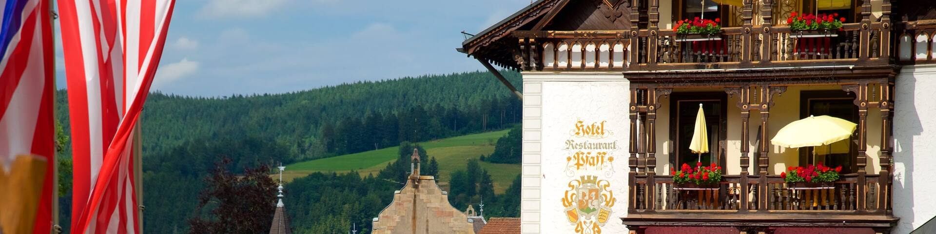 Triberg im Schwarzwald which includes tranquil scenes, a small town or village and café scenes