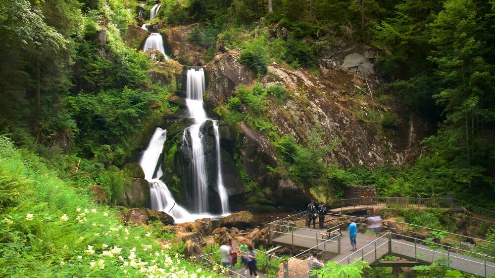 Une cascade à plusieurs niveaux, entourée d’une végétation luxuriante, et une plateforme d’observation où se trouvent des personnes.