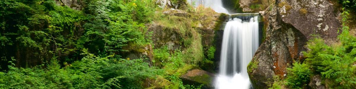 Ein mehrstufiger Wasserfall, umgeben von üppiger, grüner Vegetation.