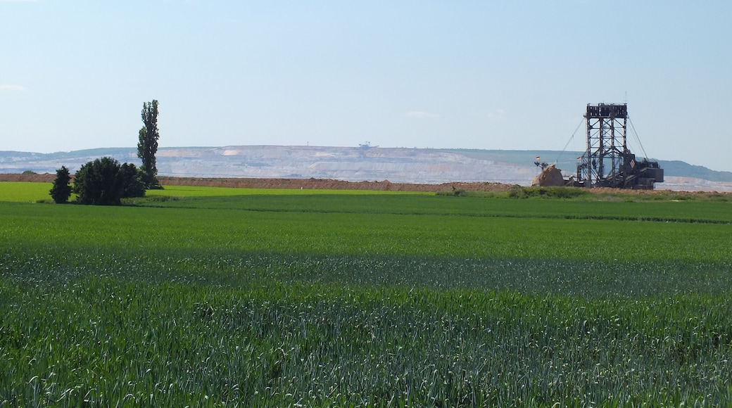 Horizont-Nager, Tagebau Hambach