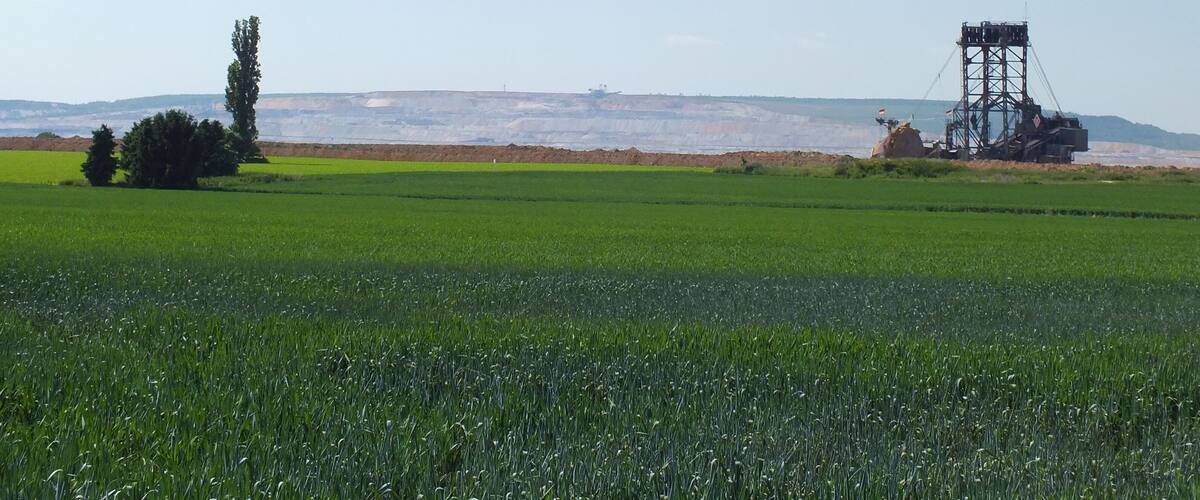 A green field with a mining structure and a tree.