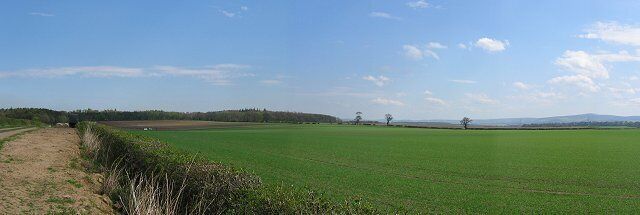 Farmland, House of Muir. Big arable field. Hedges have been recently (2003) removed to make this field.