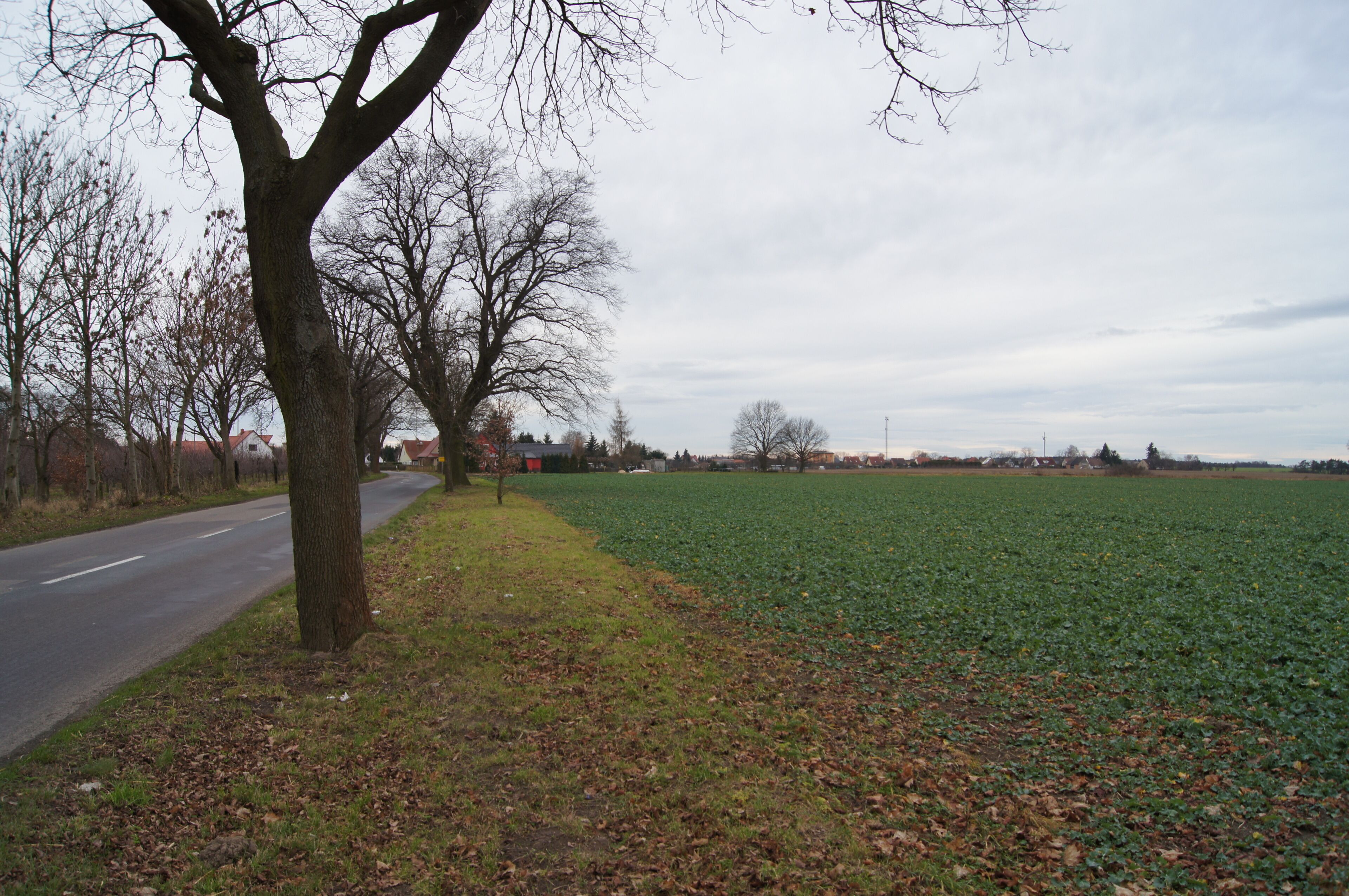 View from north to Lichtenberg, Frankfurt (Oder), Brandenburg, Germany