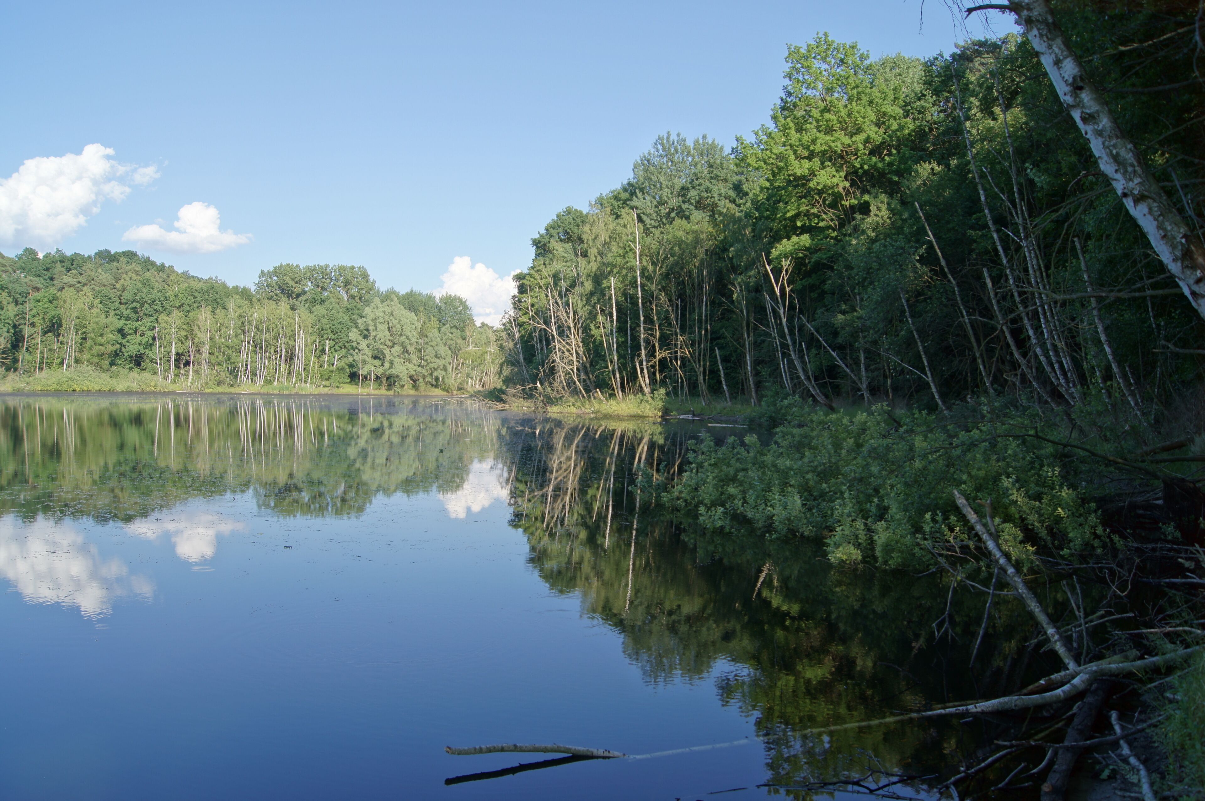 Blanke Hölle der Biegener Hellen in Hohenwalde (Frankfurt (Oder))