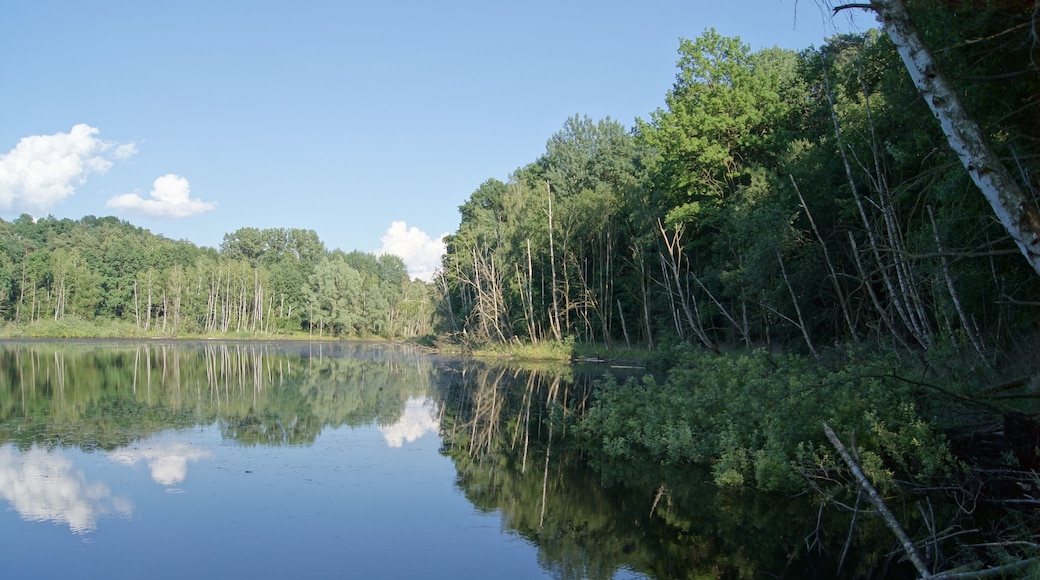 Blanke Hölle der Biegener Hellen in Hohenwalde (Frankfurt (Oder))