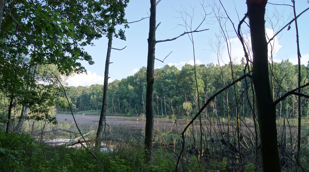 Blanke Hölle der Biegener Hellen in Hohenwalde (Frankfurt (Oder))
