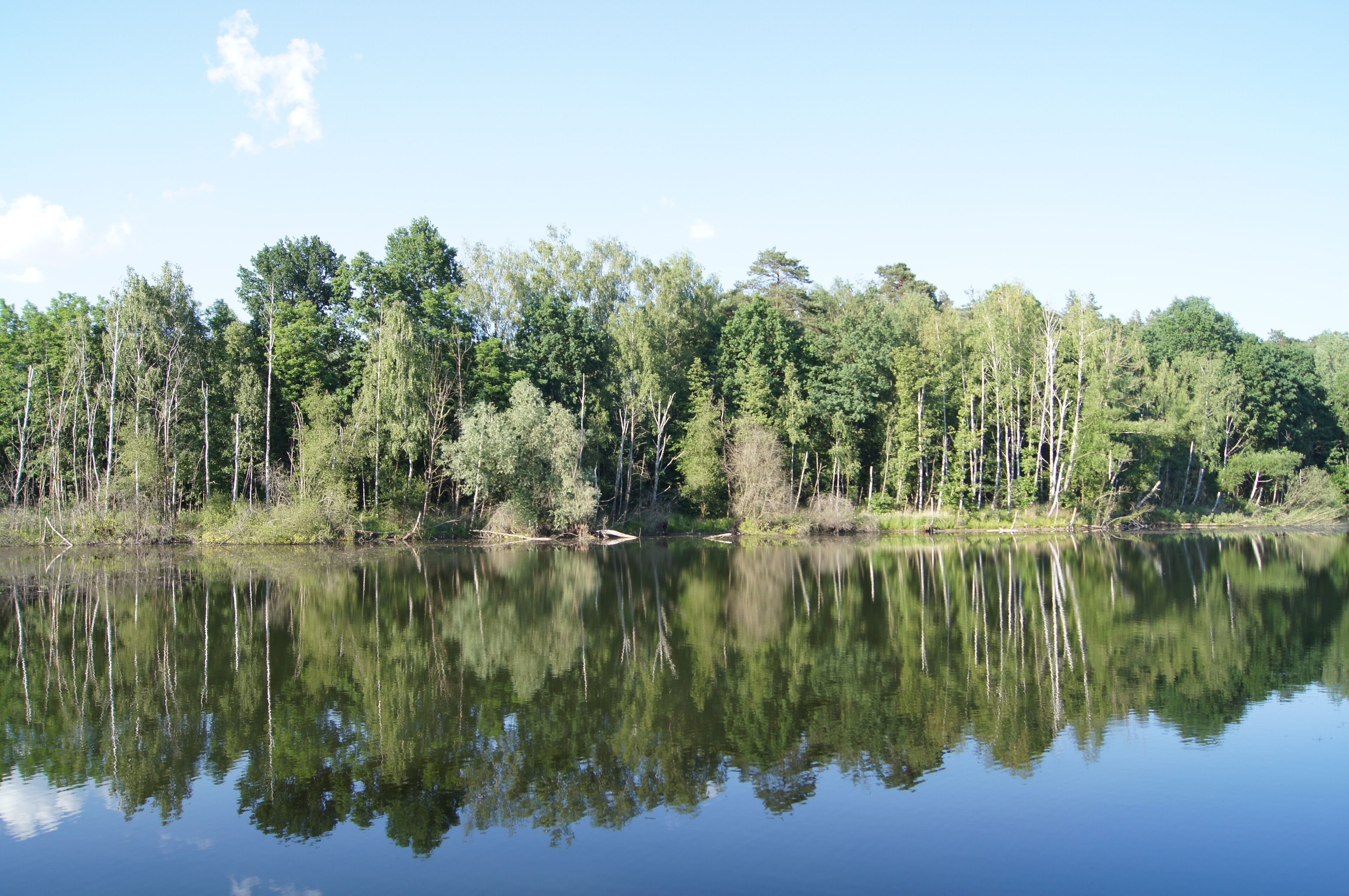 A calm lake with dense forest reflections.
