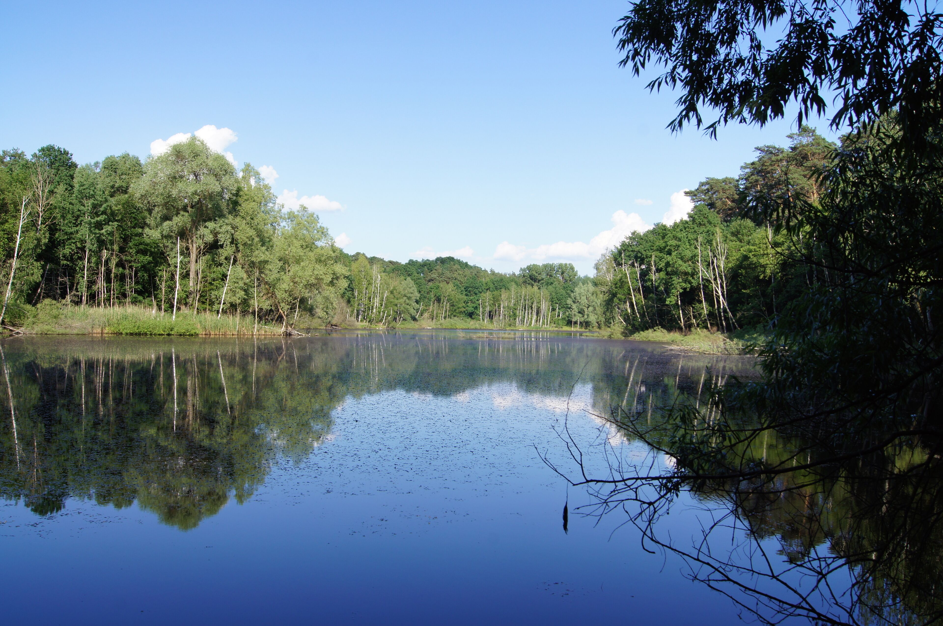 Blanke Hölle der Biegener Hellen in Hohenwalde (Frankfurt (Oder))