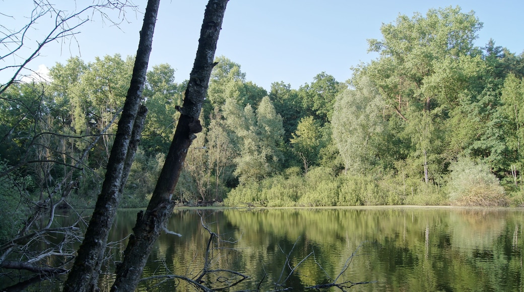 Schafhölle der Biegener Hellen in Hohenwalde (Frankfurt (Oder))